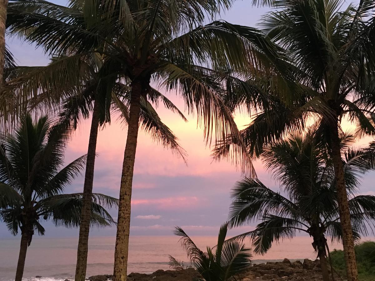 Coconut Beach Homestay Beinan 외부 사진